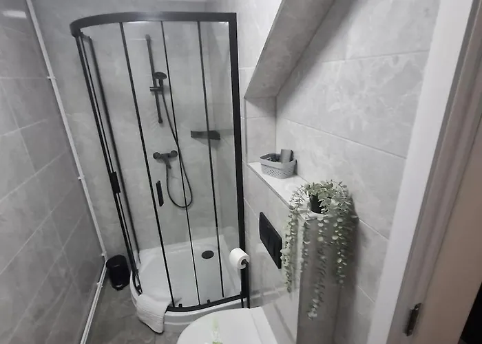 Tiny Urban Escape Braşov